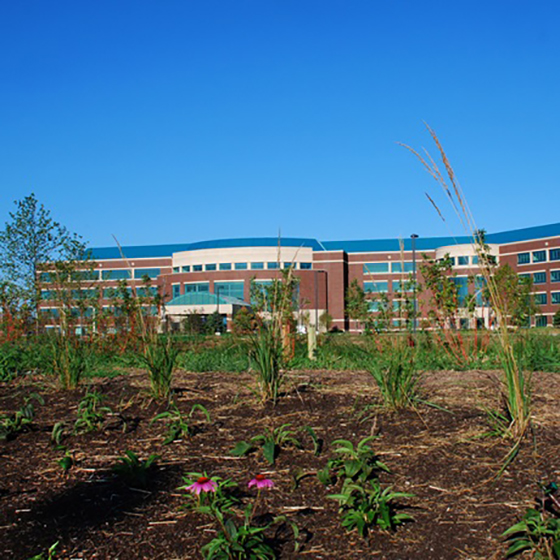 Hospital view 3