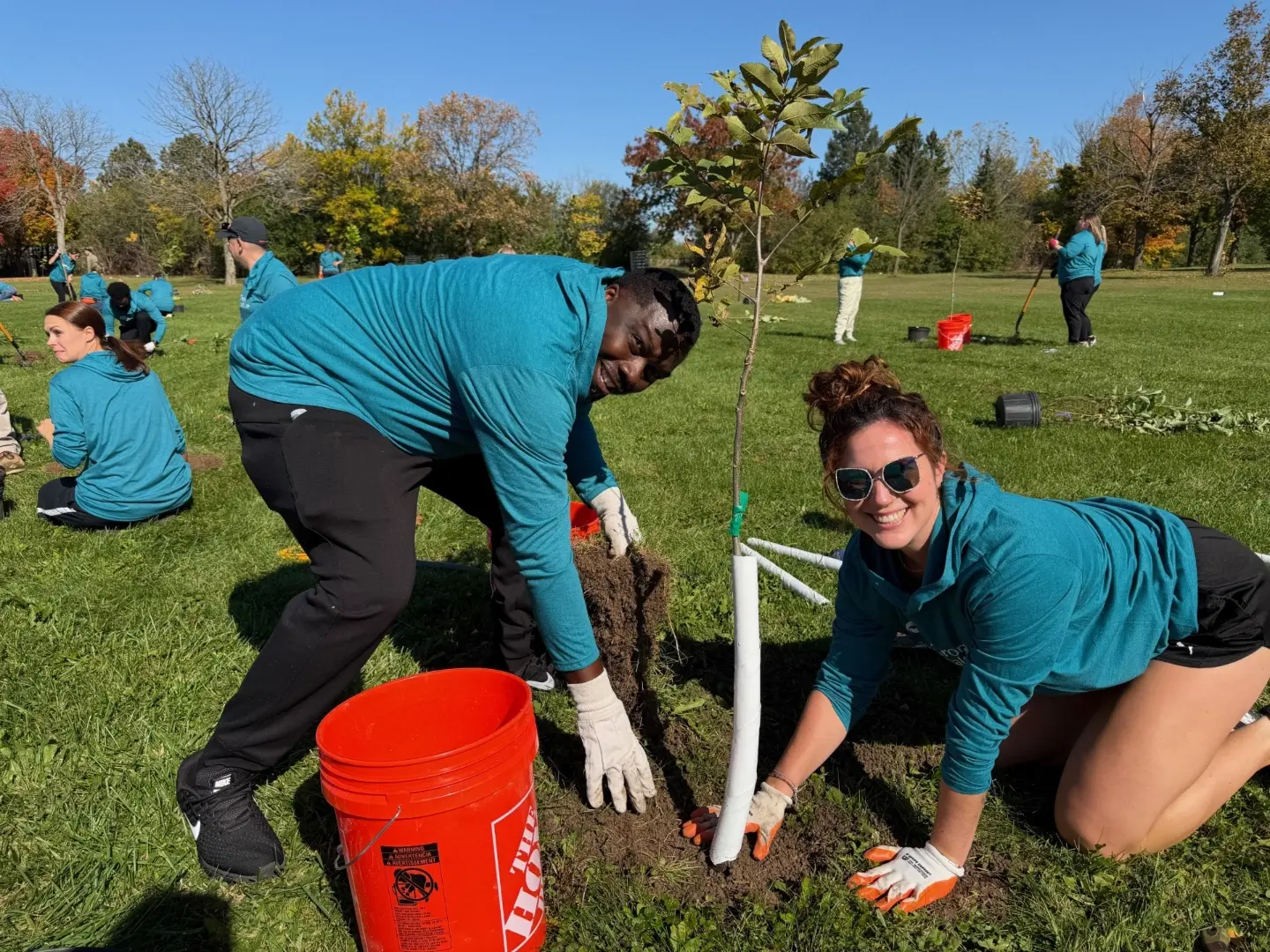 Aurora Health Teammates plant trees