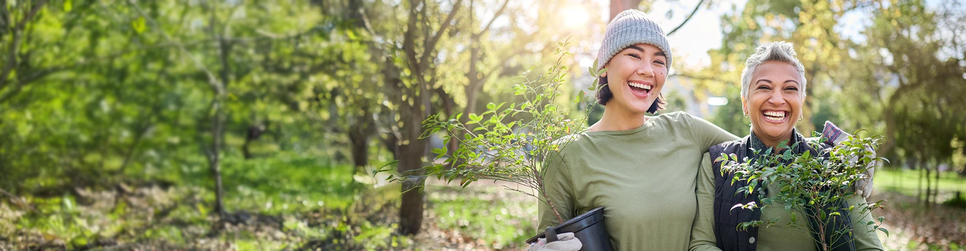 Living kidney transplant